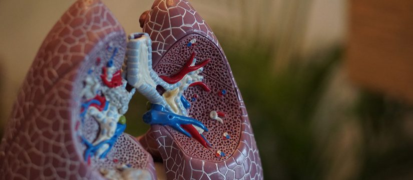 This common food additive may fuel weight gain, diabetes